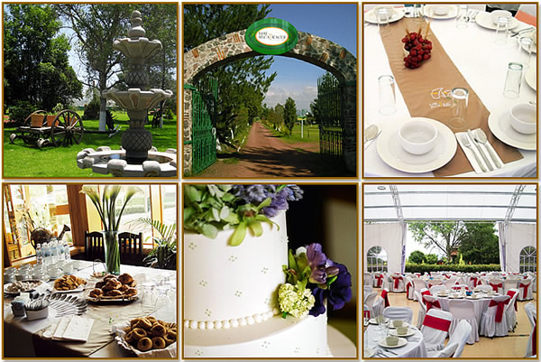 Tú lo imaginas, nosotros lo realizamos